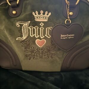 Juicy Couture Green and Brown Women's Bag